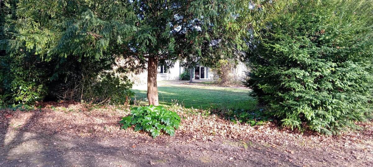 Maison à FAYE-LA-VINEUSE