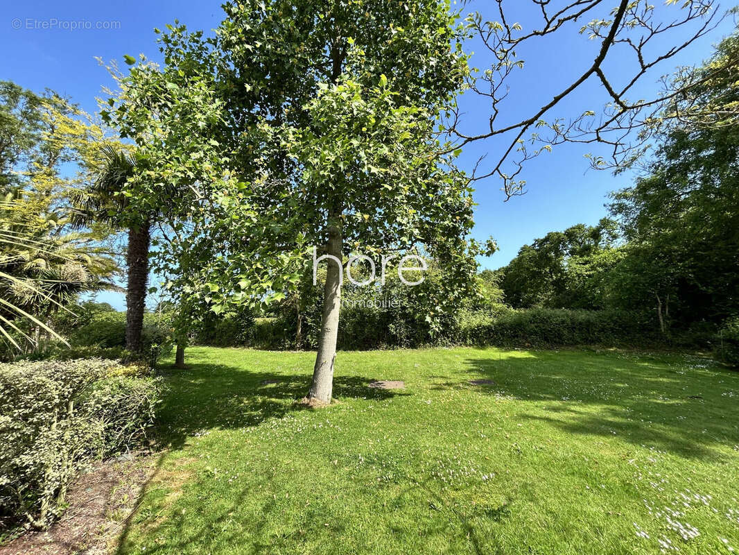 Appartement à COLLEVILLE-SUR-MER