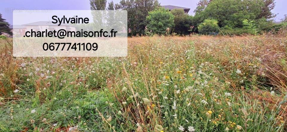 Terrain à NOEUX-LES-MINES