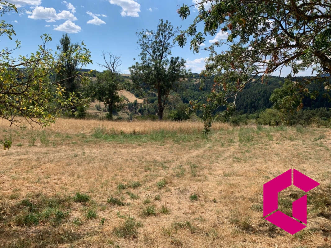 Terrain à YSSINGEAUX