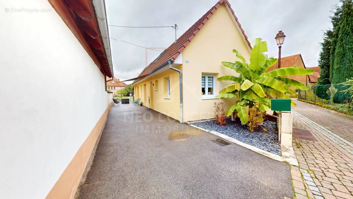 Maison à SELTZ