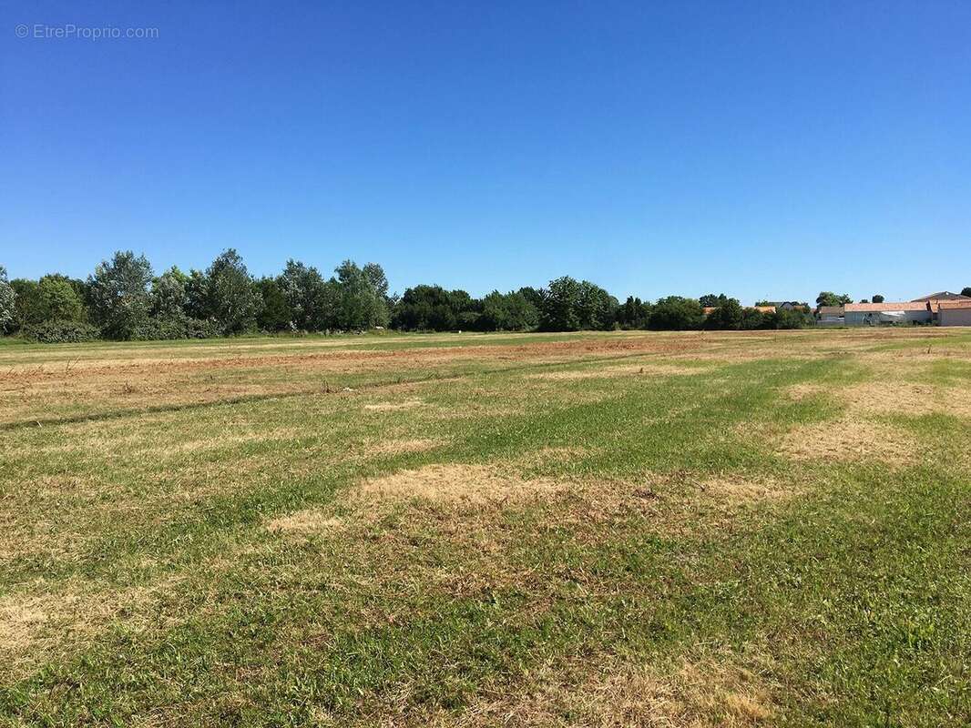 Terrain à LA ROCHELLE