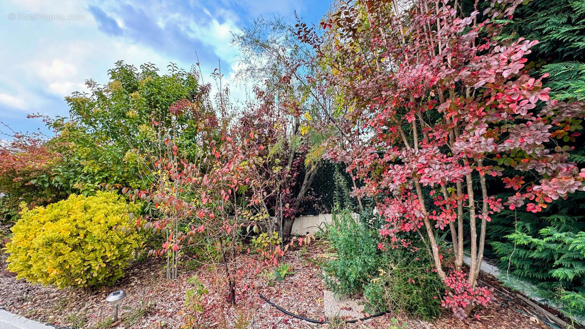 Maison à CHATEAUNEUF-LE-ROUGE