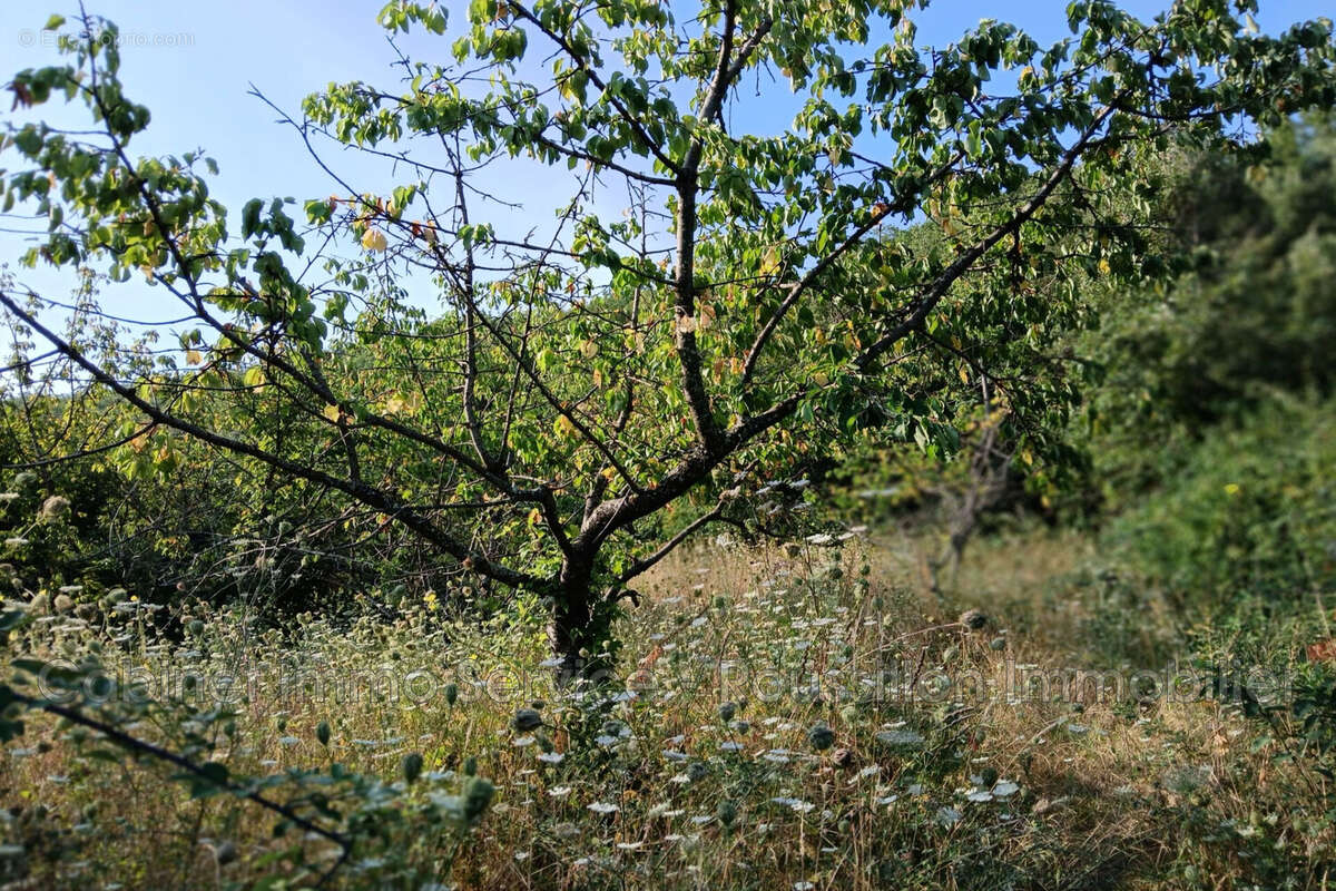 Terrain à CERET