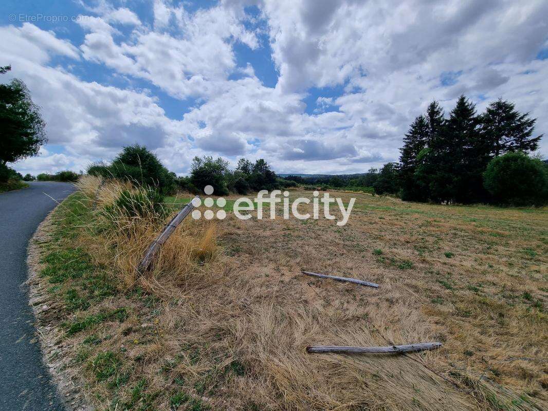 Terrain 4460 m² à Blavignac  - photo 3