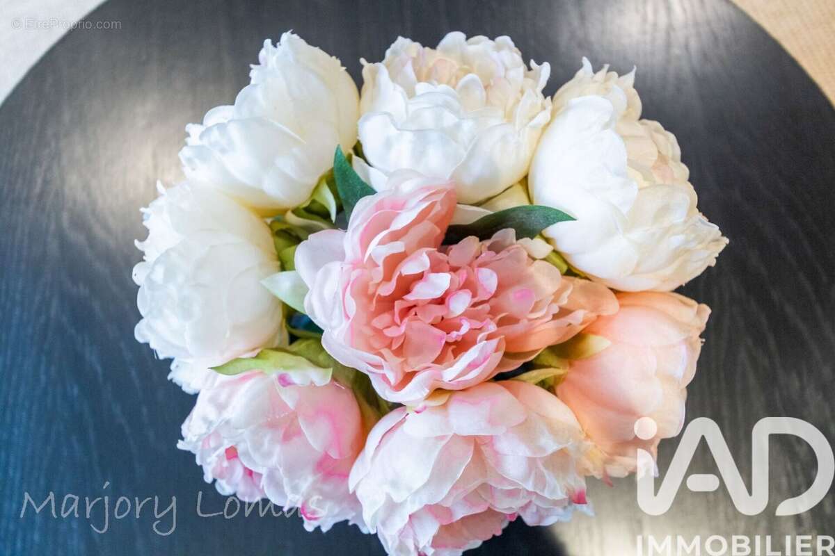 Photo 8 - Appartement à LISSIEU