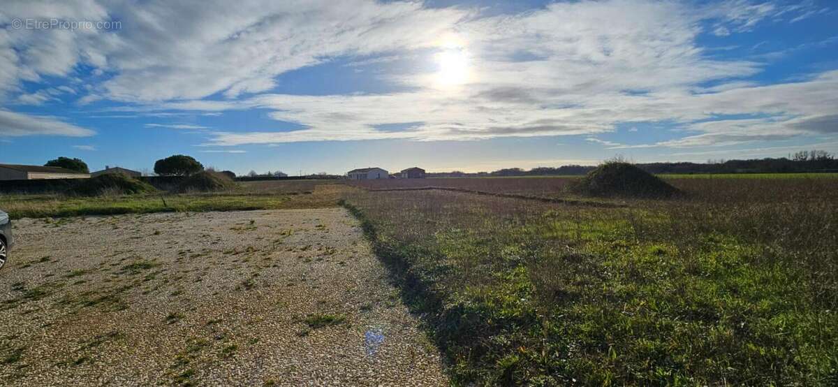 Terrain à ARCHINGEAY