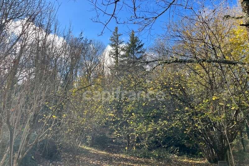 Maison à VERRERIES-DE-MOUSSANS