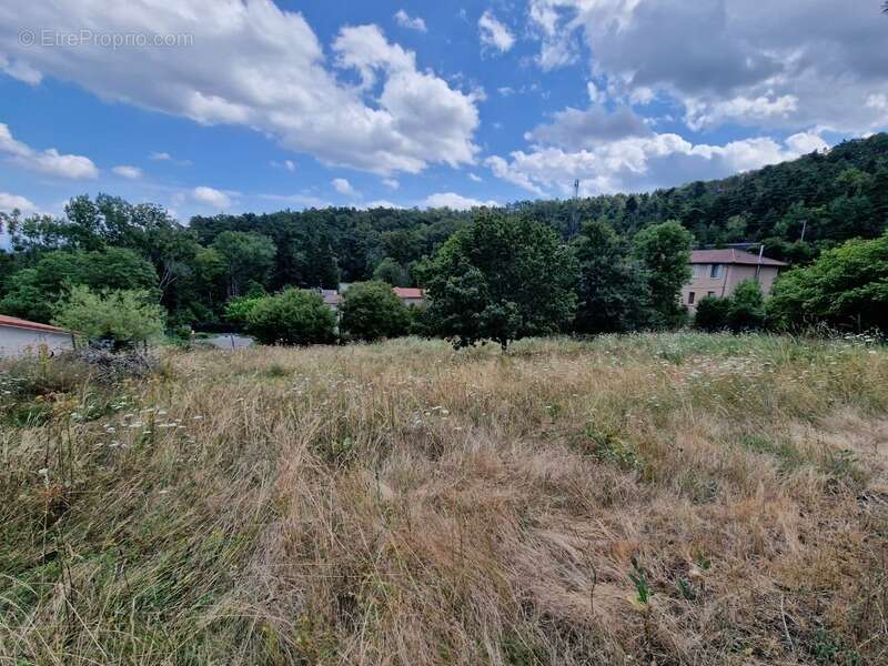 Terrain à vendre de 1271 m² orienté SUD sur la commune de MARCOUX, 2 minutes de BOEN et 15 minutes de MONTBRISON - photo 5