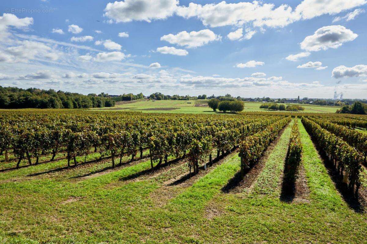 Terrain à LISTRAC-MEDOC