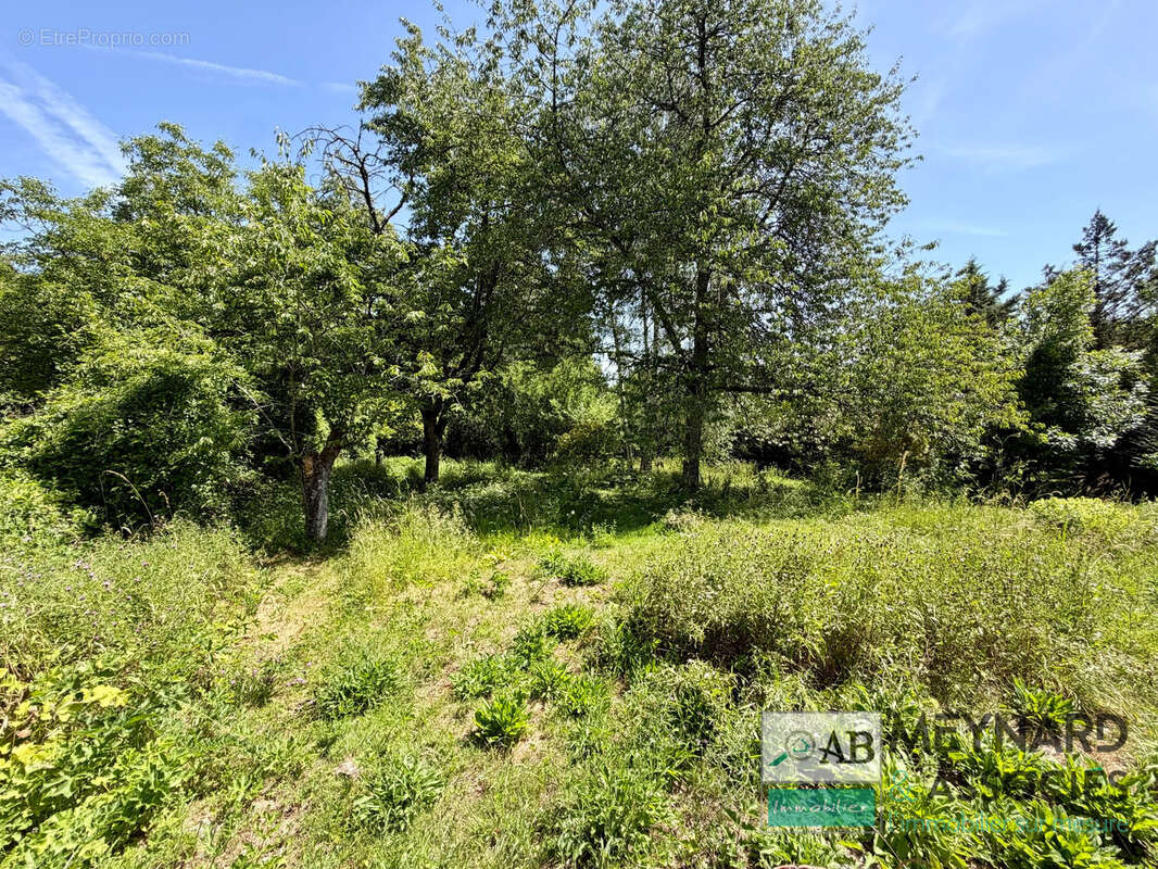 Maison à vendre 5mn Crecy la Chapelle - 3 chambres -Garage- Atelier- jardin 2475m2 - photo 13