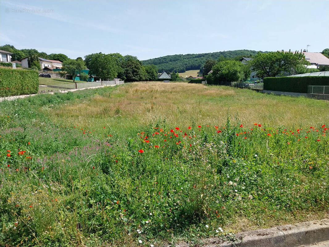 Terrain à TALLENAY