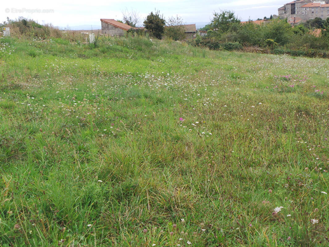 Terrain à SAINT-BONNET-LE-CHATEAU