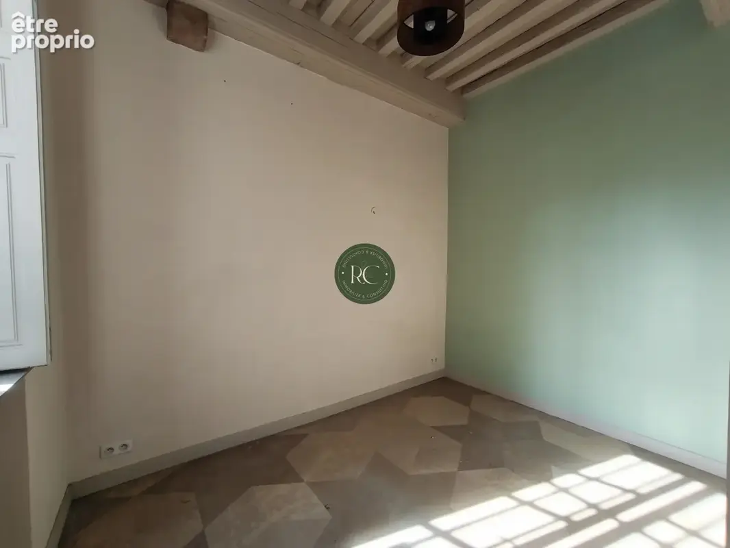 Dijon appartement hotel particulier antiquaires - photo 6