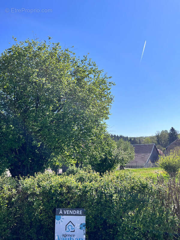 Terrain à SORANS-LES-BREUREY
