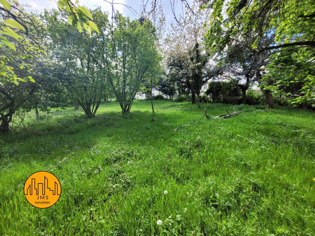 Terrain à LE MONTET