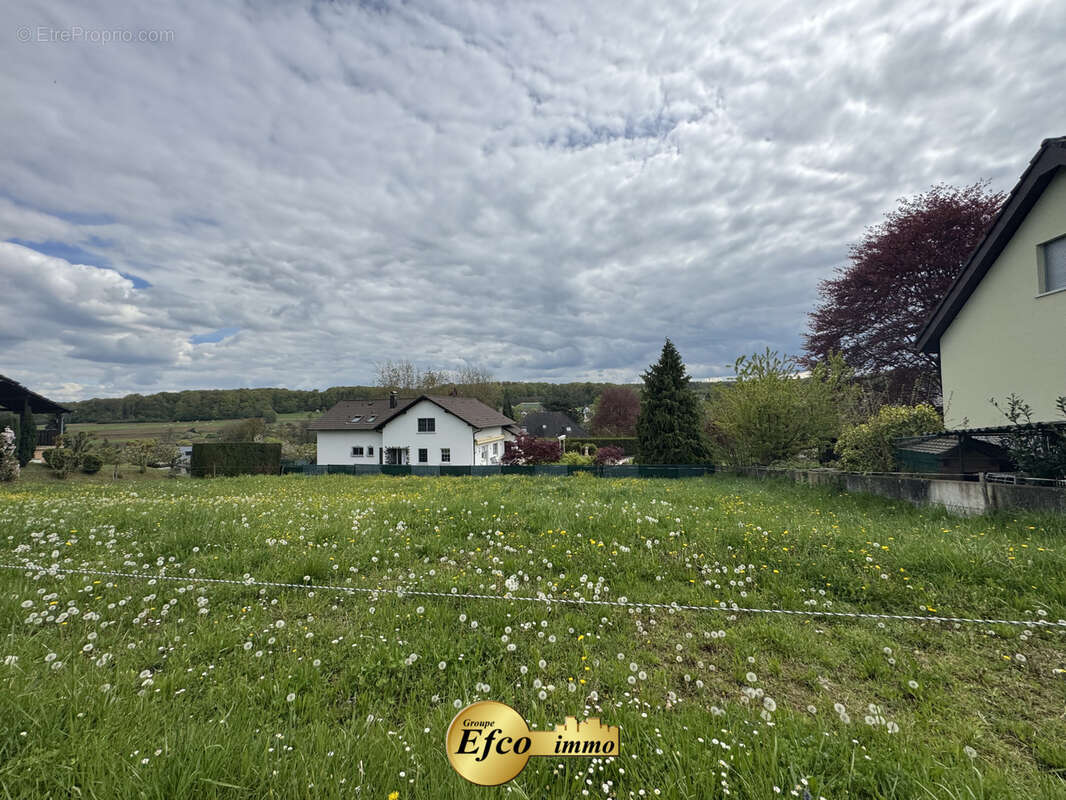 Terrain à NEUWILLER