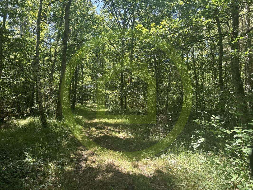 Maison à LA FERTE-SAINT-AUBIN