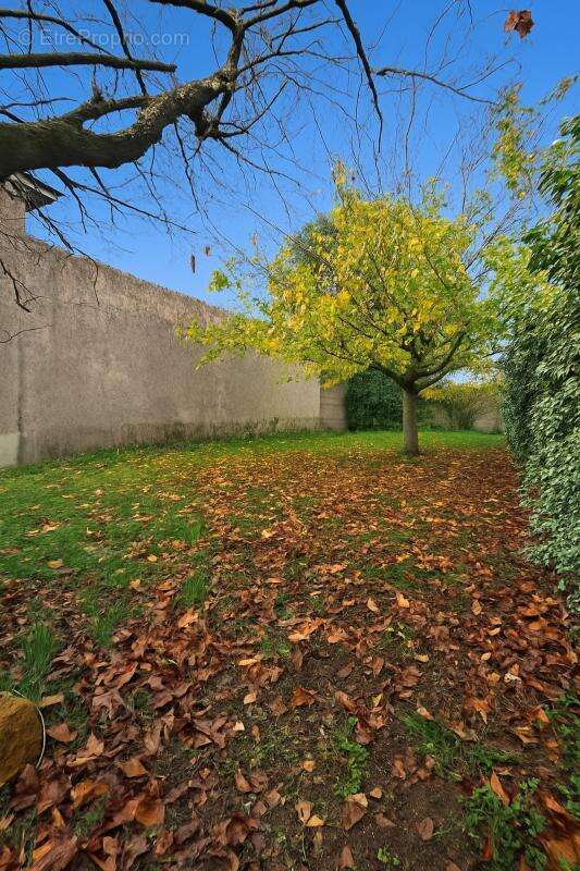 Maison à CHAMPIGNY-LE-SEC