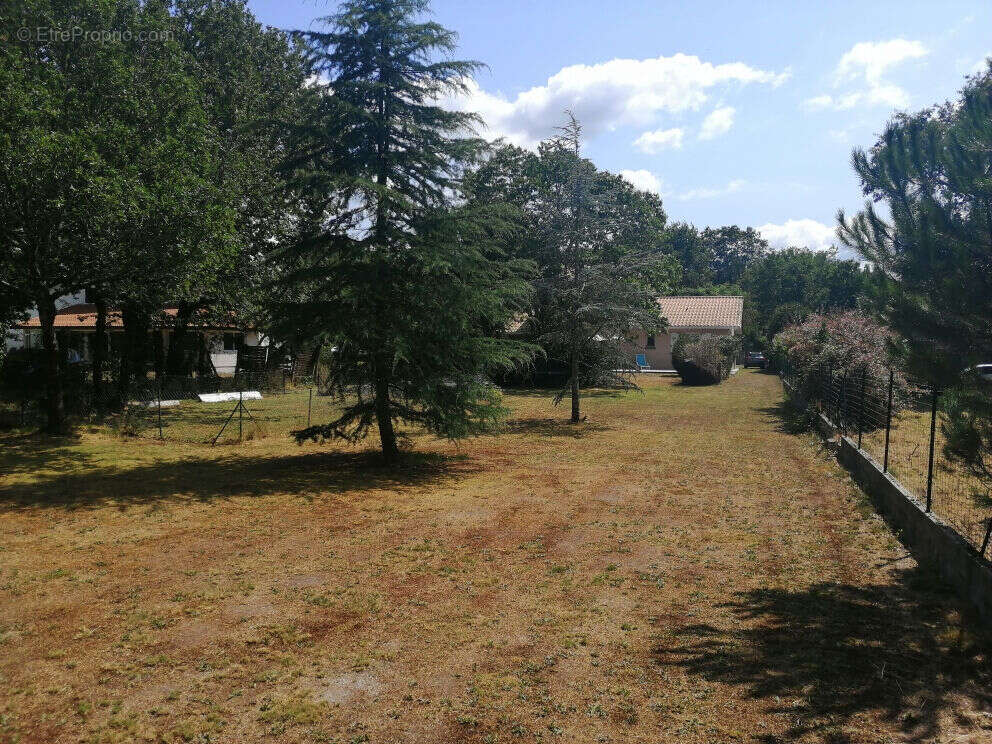 Maison à SALLES