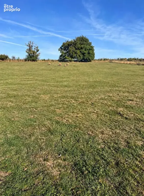 Terrain à CHATONNAY