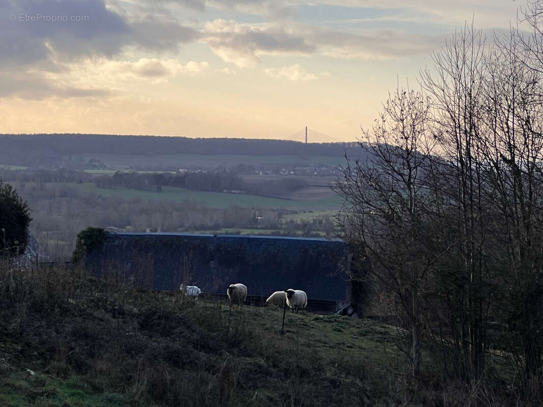 Maison à BEUZEVILLE