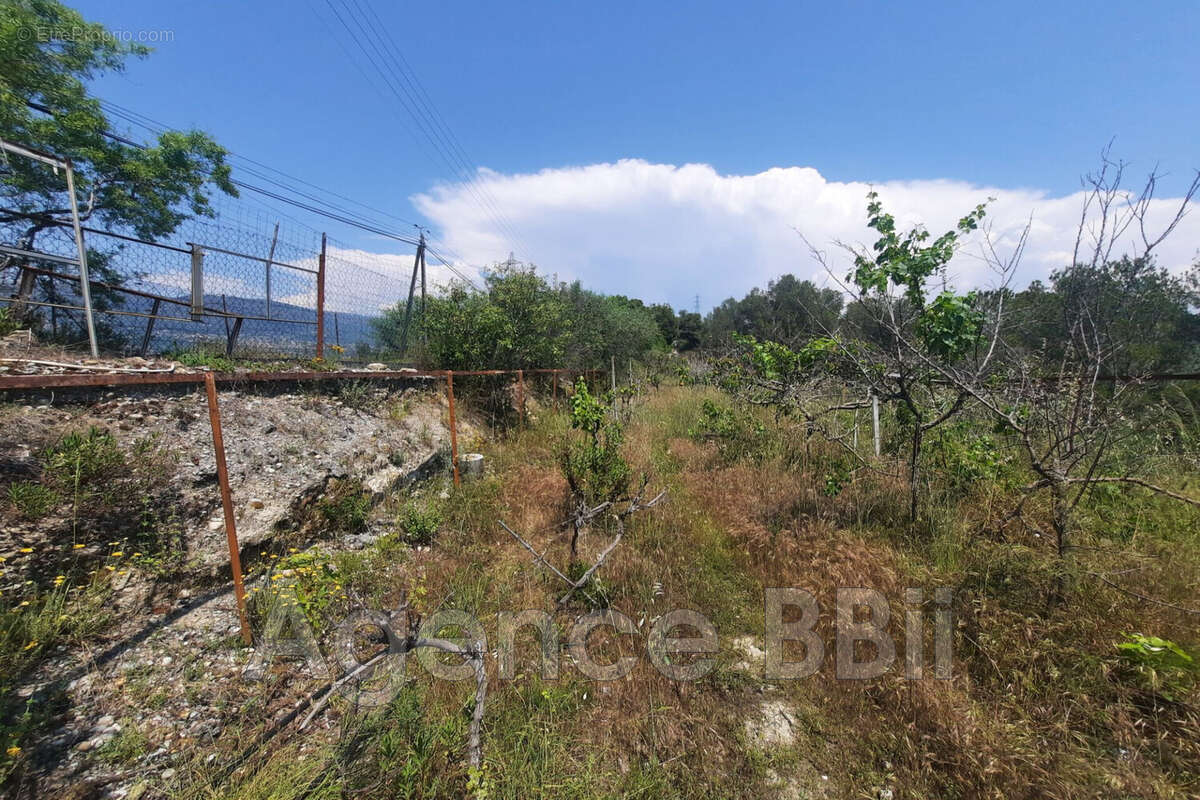 Terrain à NICE