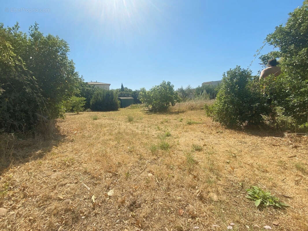 Le Cailar prcoche centre Terrain 700M2 A viabiliser - photo 4