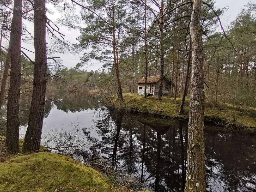 Maison à VILLEFRANCHE-SUR-CHER