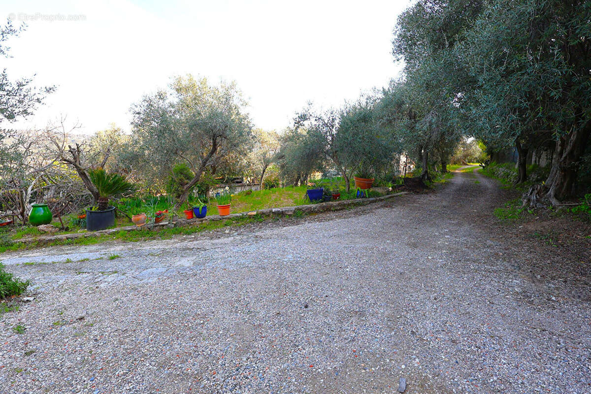 Terrain à SPERACEDES