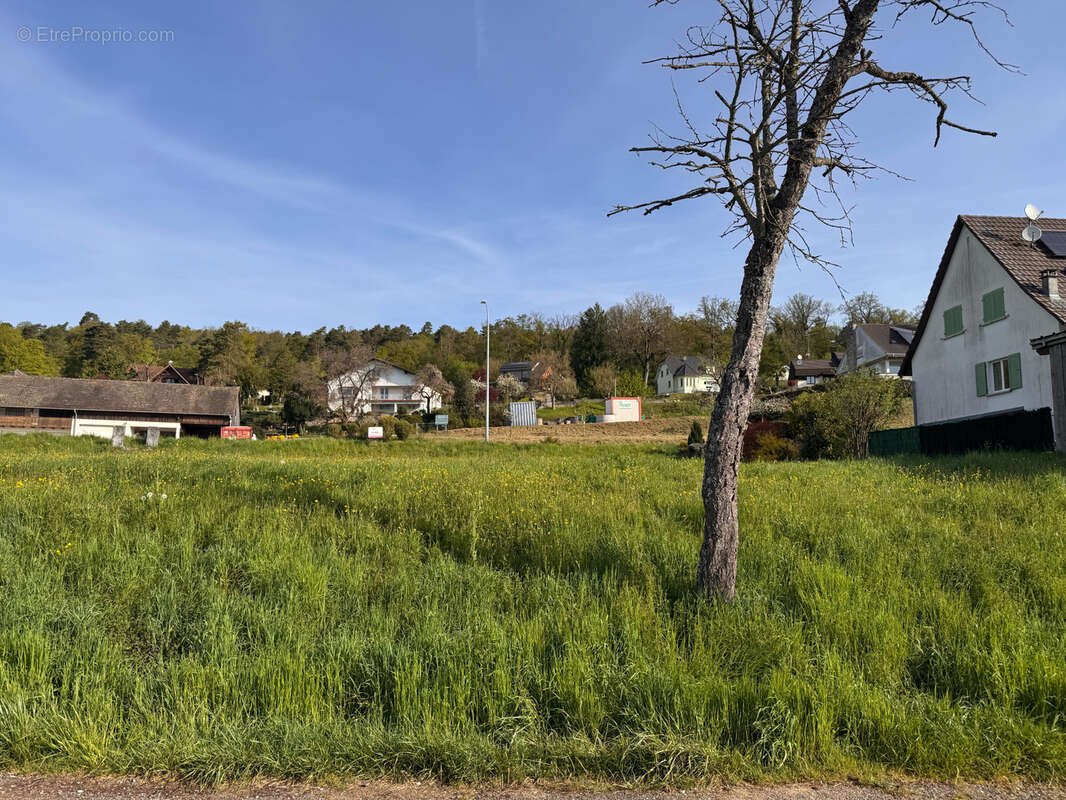 Terrain à RAEDERSDORF