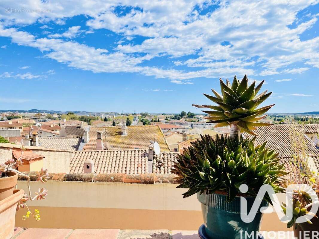 Photo 5 - Maison à PUGET-SUR-ARGENS