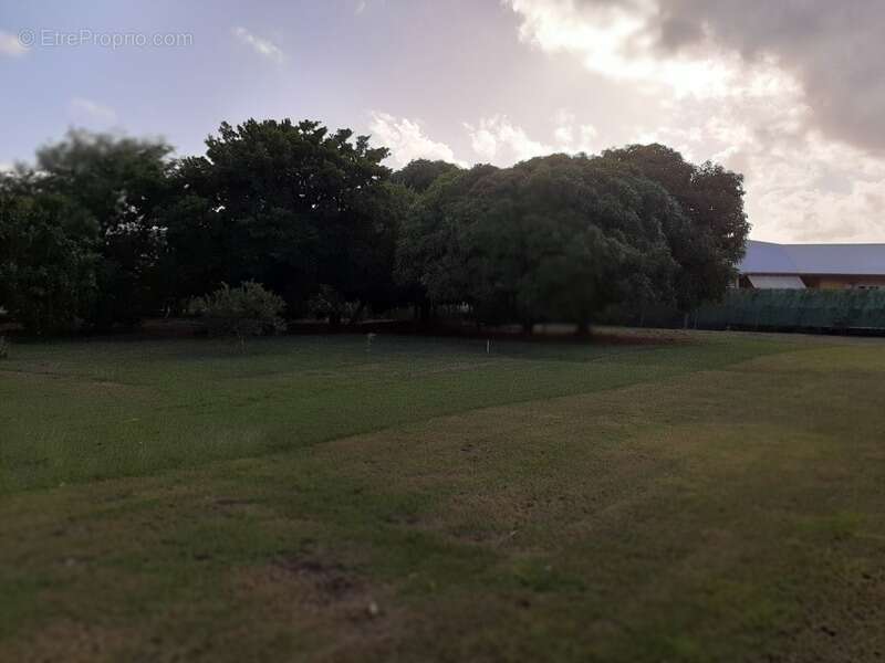 Dpt Guadeloupe (971), à vendre SAINT FRANCOIS maison P5 de 134,03 m² - Terrain de 8 528,00 m² - Plain pied - photo 4