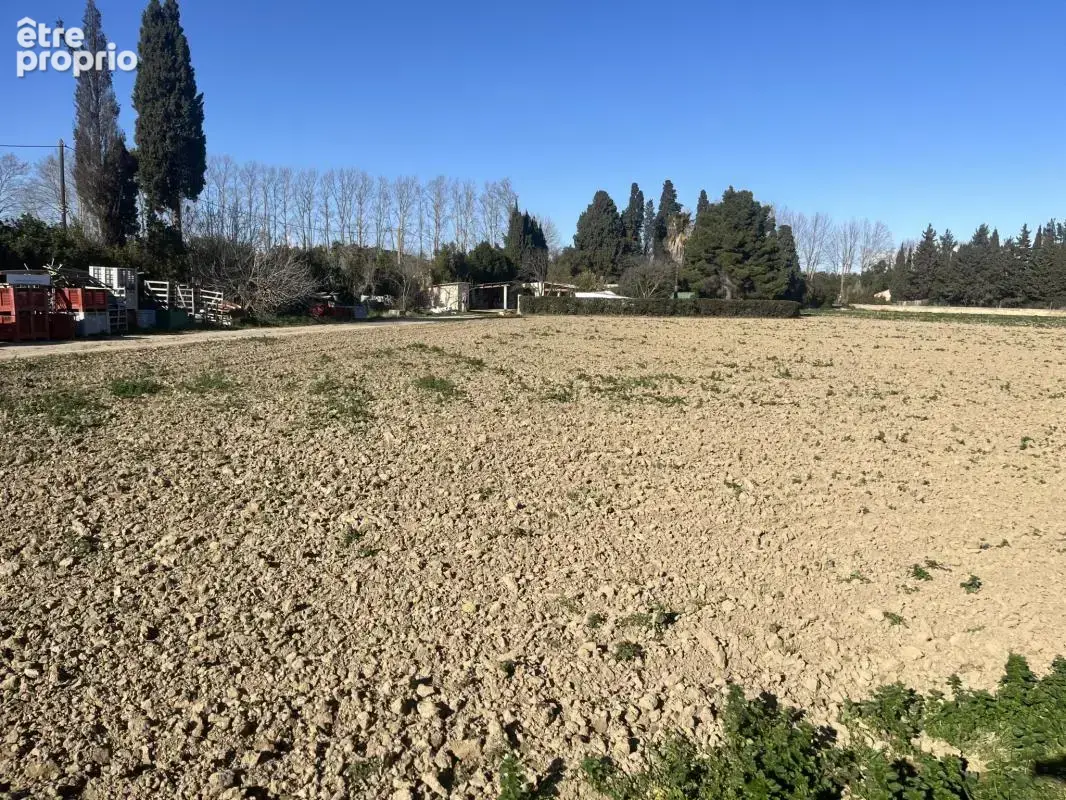 À VENDRE : Terrain Maraîcher à proximité d'Elne - photo 4