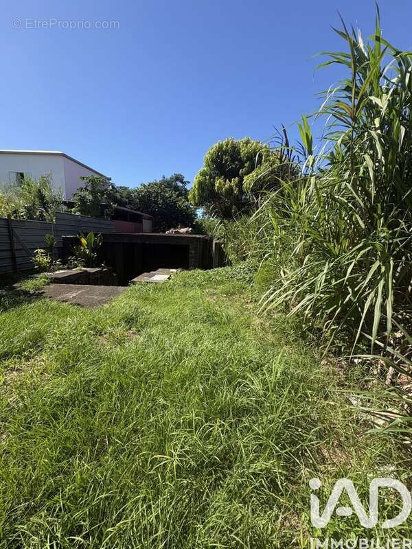 Photo 5 - Terrain à BRAS-PANON