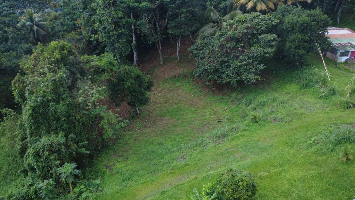 Terrain à FORT-DE-FRANCE