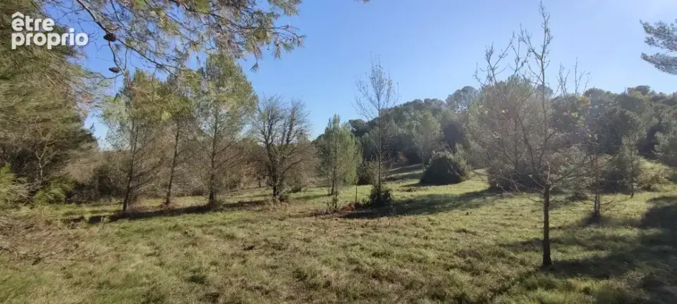 Terrain 2 000 m² à vendre à Carcassonne (11000) - photo 2