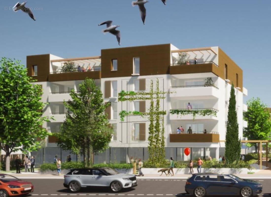Commerce à AVIGNON