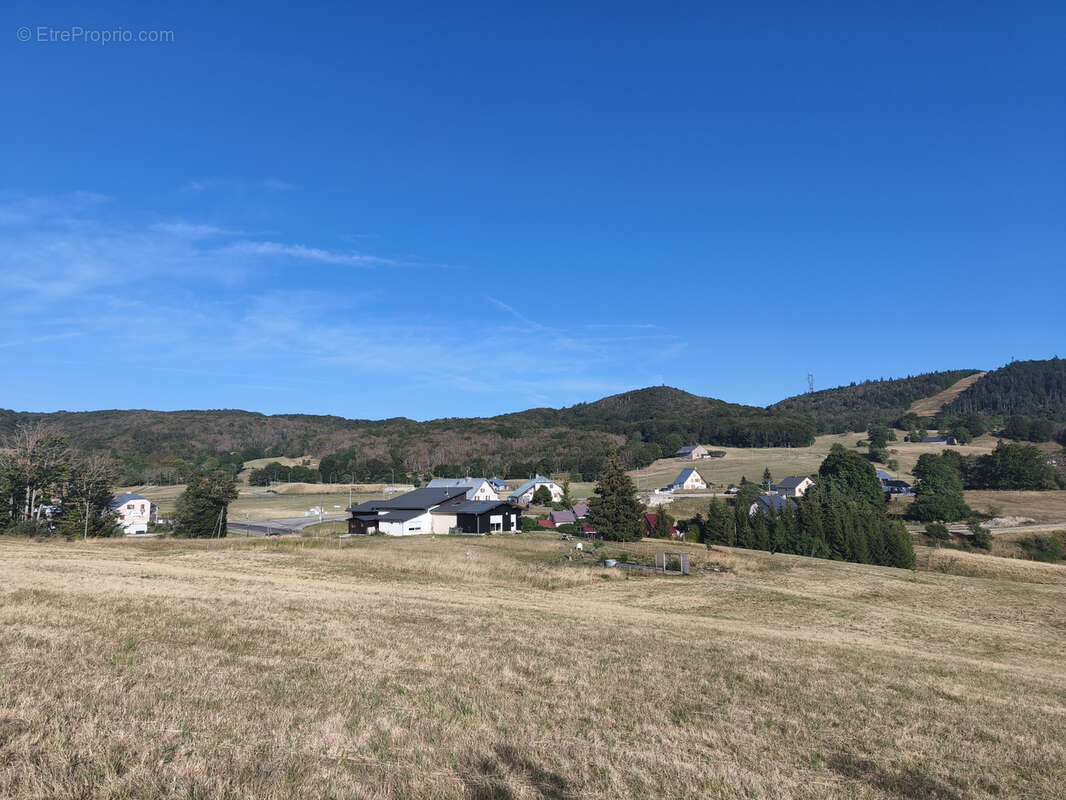 maison de plain pied sur 8700m2 de terrain - photo 19