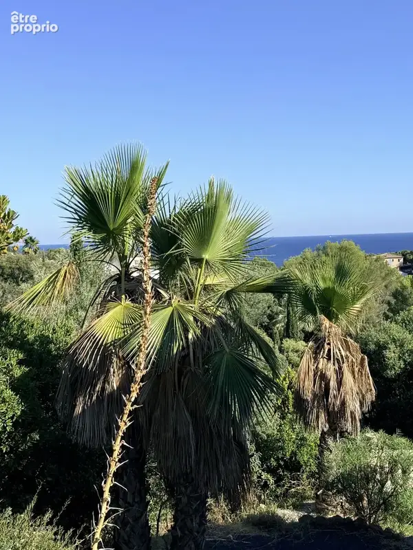 Maison à vendre 4 pièces LES ISSAMBRES (83) - photo 7