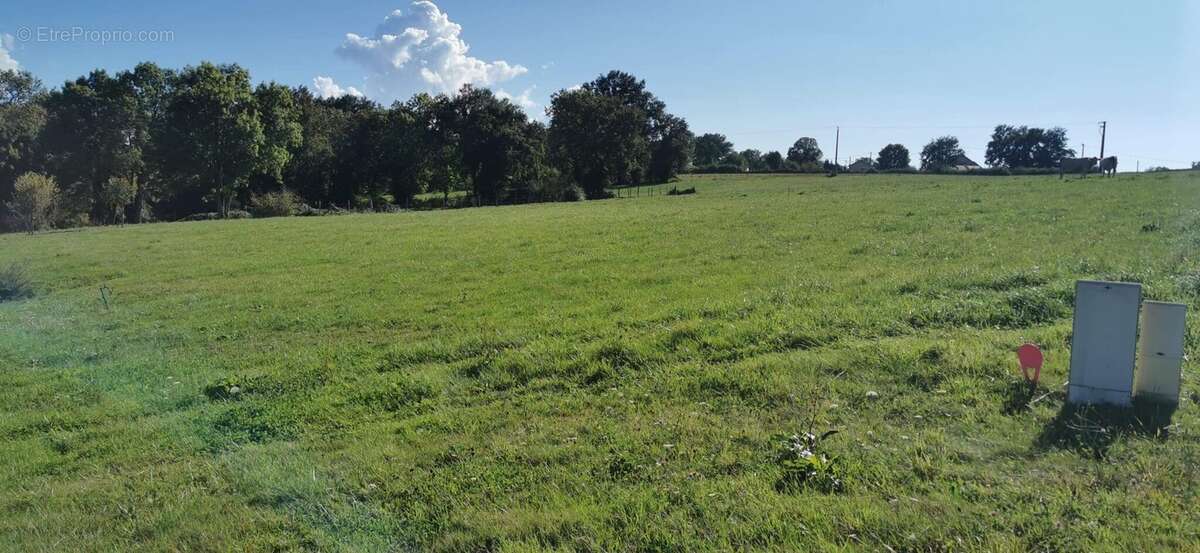 Terrain 1036 m² à Le Breuil  - photo 2