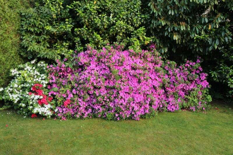 Maison à VERSAILLES