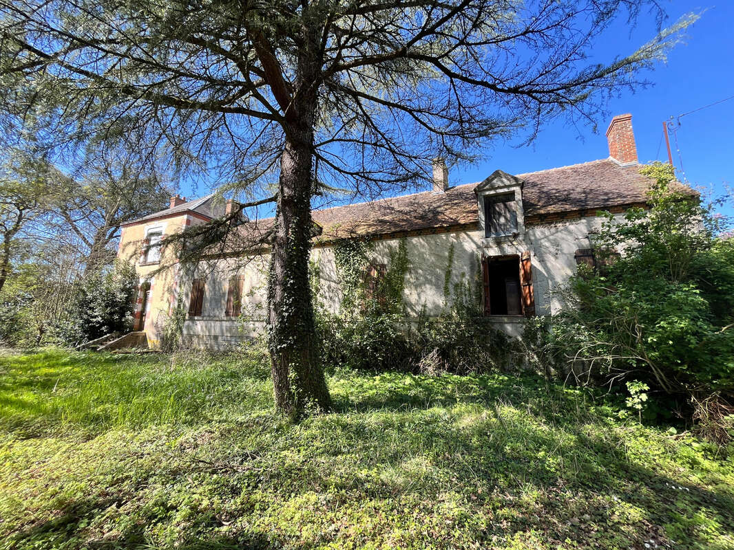 Ancienne Ferme - photo 2