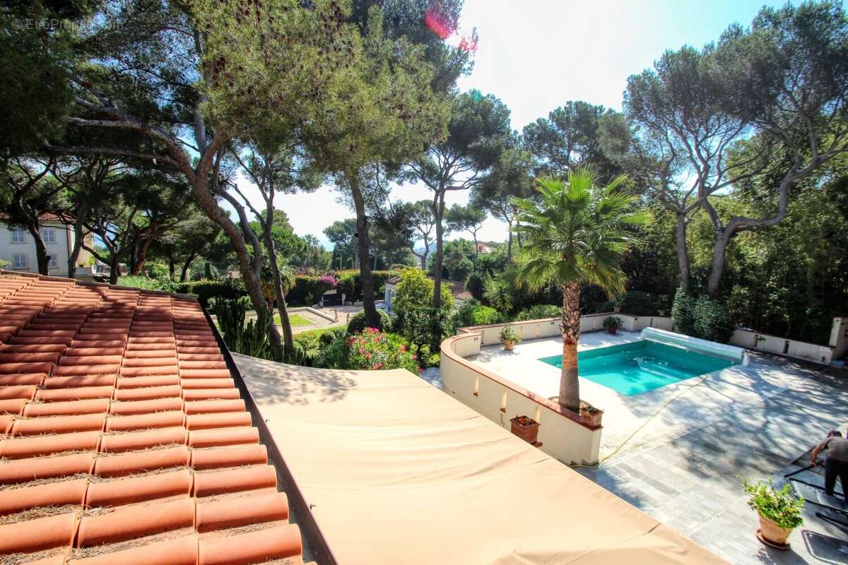 Saint jean cap ferrat "le cap" - propriété 600m²  terrain 5000m² piscine - photo 14
