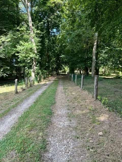 Maison à MAUPERTHUIS