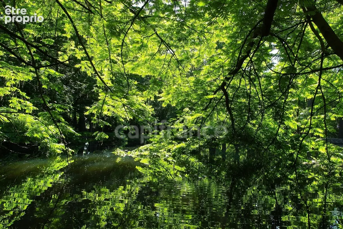 Propriété forestiere giry (58) - photo 2
