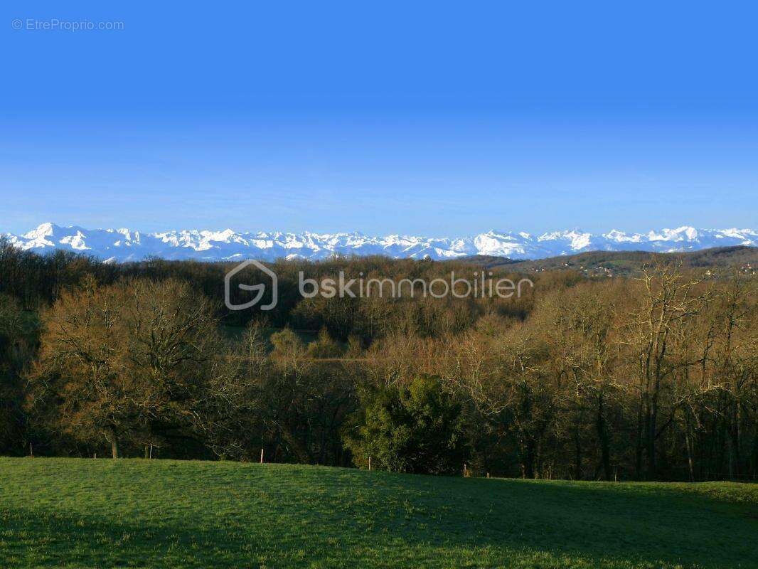 Propriété Gersoise avec deux maisons et 4,5 hectares, idéale pour différents projets - photo 4