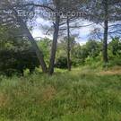 Terrain à PLAN-D'AUPS-SAINTE-BAUME