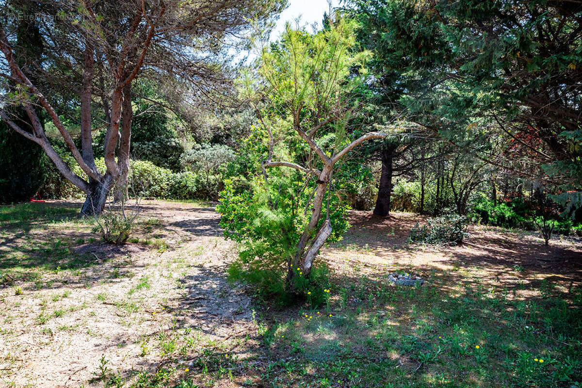 Appartement à BOLLENE