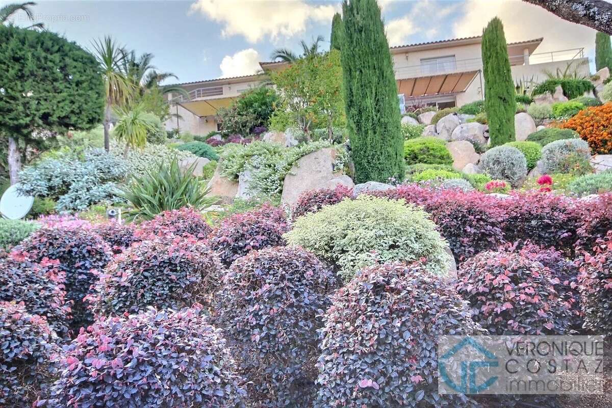 Maison à PORTO-VECCHIO